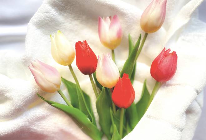 家族の認知症の初期症状にお悩みの方へ