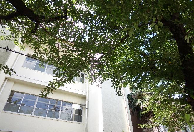 教員の虚偽報告疑惑を解決したい管理職の方へ