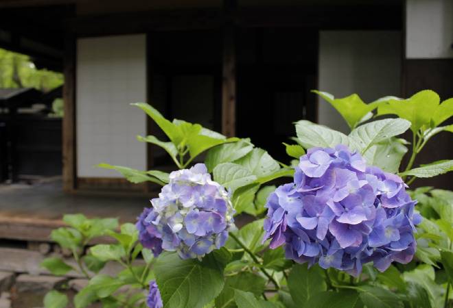 もめる前に“事実”を見つめる選択をしたい方へ