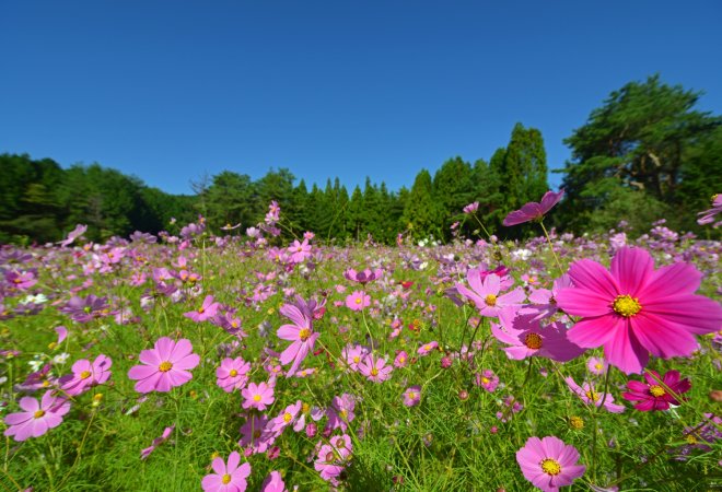 タイトル画像