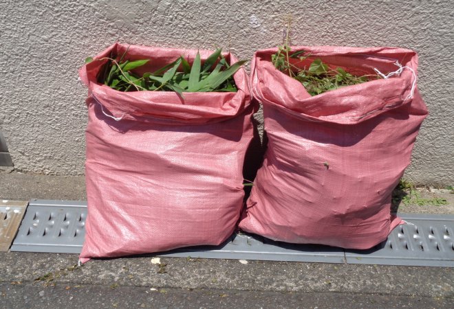 隣人との落ち葉トラブルの実態。